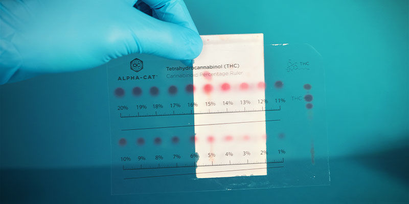 Quels Cannabinoïdes Peuvent Être Détectés Avec Le Mini Kit Test De Cannabinoïde Alpha-Cat ?