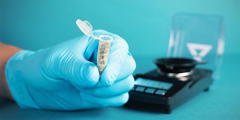 Pourquoi Tester Les Niveaux De THC & CBD Dans Les Produits Au Cannabis ?