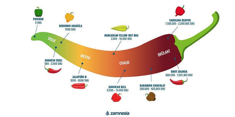 Quelle Est La Force Du Piment Fantôme ?