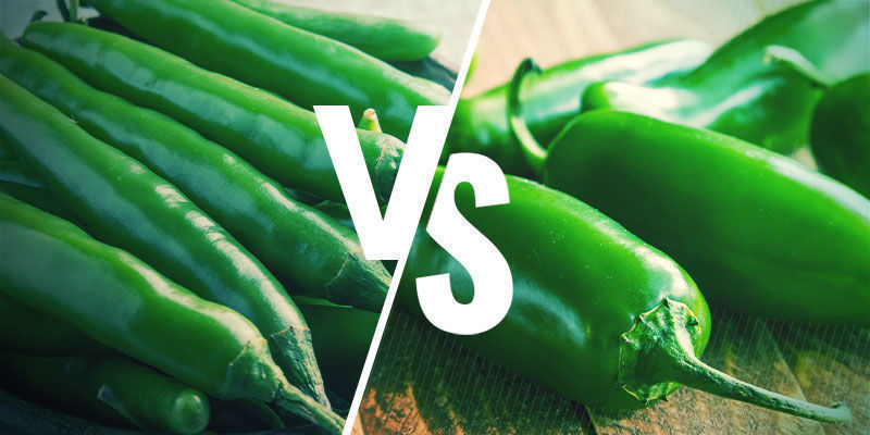 Les Piments Verts Et Les Jalapeños Sont-ils La Même Chose ?