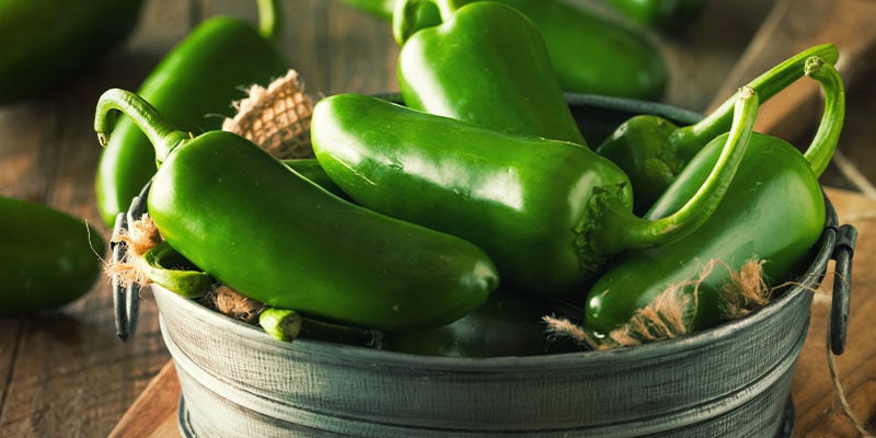 Démarrez Aujourd’hui Votre Projet Piments — Vous Êtes Tout Près Du Paradis Du Jalapeño