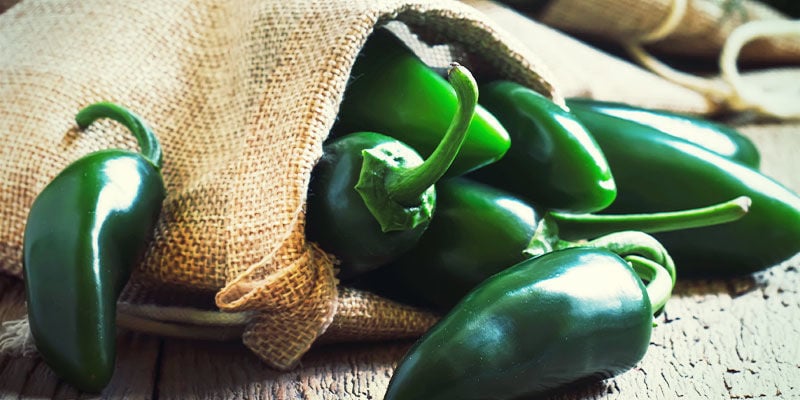 Cultiver Des Piments Jalapeño : Les Étapes