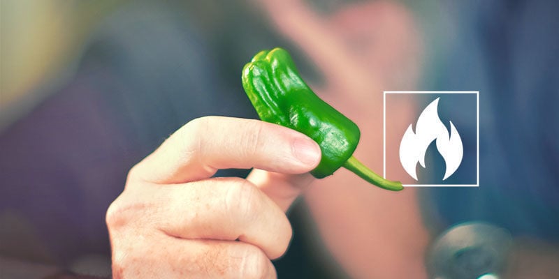 À Quel Point Les Piments Jalapeño Sont Piquants ?