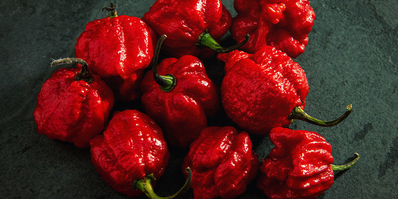 1 x piment frais CAROLINA REAPER en pickles piment le plus fort du monde :  : Epicerie