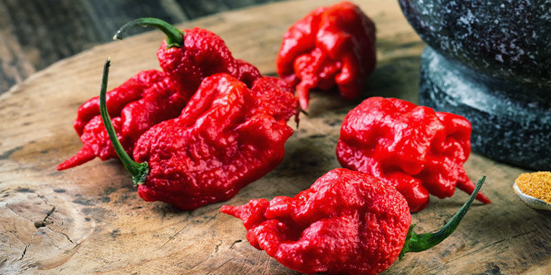 Pepper X, le piment le plus fort du monde