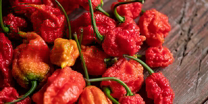 7 Pot Barrackpore : 1,30 M SHU