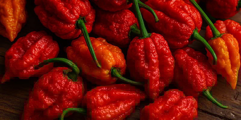 7 Pot Jonah : 1,20 M SHU