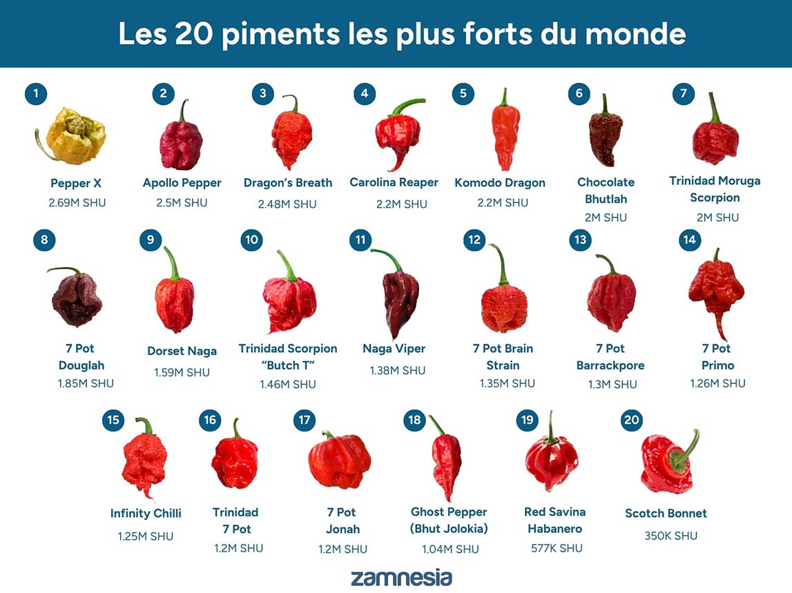 Les 20 piments les plus forts du monde