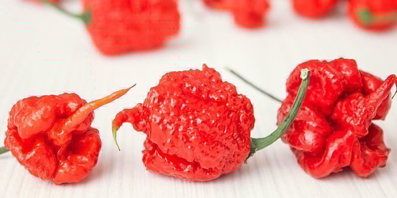 Trinidad Moruga Scorpion : 2,00 M SHU
