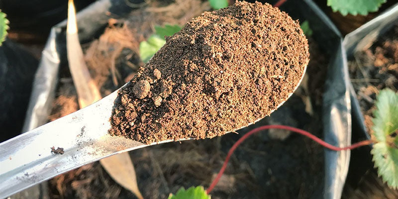 Mélange Super Soil Au Guano