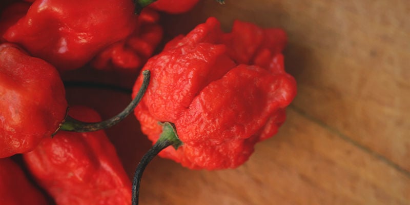 Êtes-vous Prêt Pour Le Carolina Reaper ?