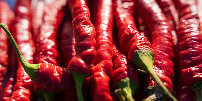 Cultiver Le Piment Cayenne Long Slim : Cela En Vaut-il La Peine ?