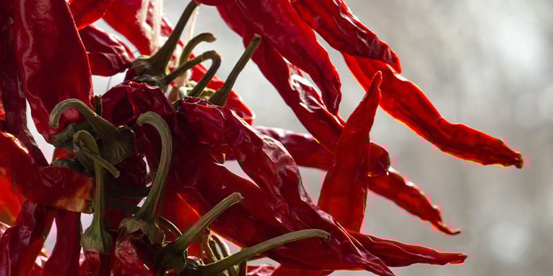 Comment Conserver Les Piments Cayenne Long Slim