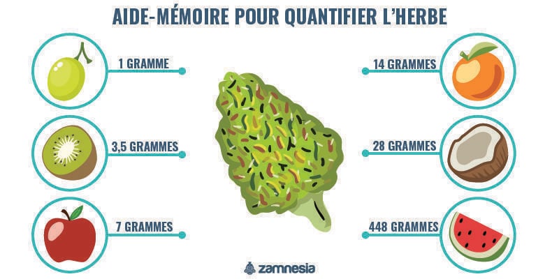 Aide-Mémoire Pour Quantifier L’herbe