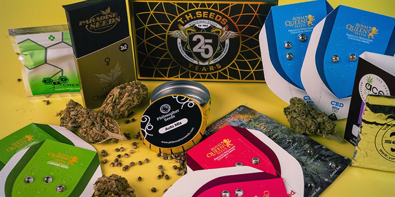 Avantages des variety packs de graines de cannabis