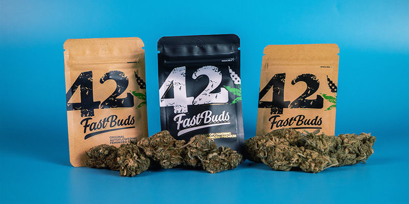 FastBuds et les partenariats internationaux