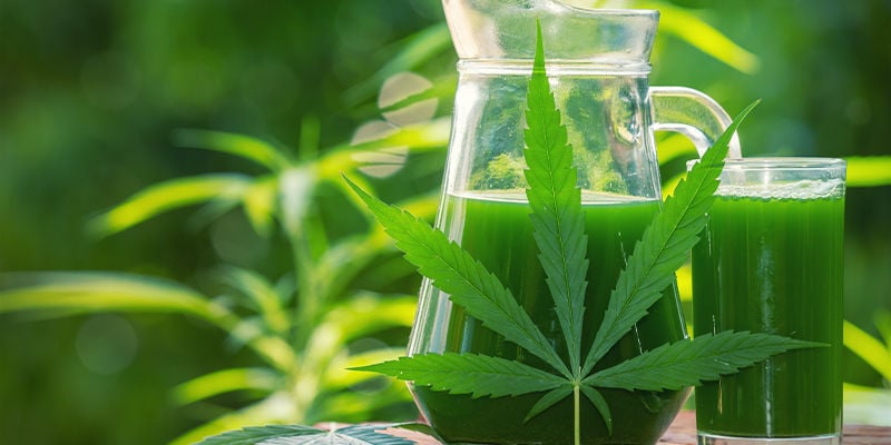 Qu’est-ce Que Le Jus De Cannabis ?