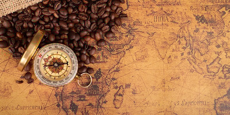 Origines De La Caféine