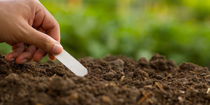 Améliorer le niveau d’humidité de la terre