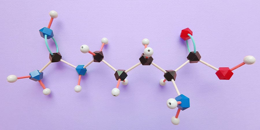 Fonctionnement de la L-arginine dans le corps