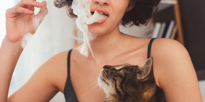 La cannabisme passif peut-il faire planer les animaux ?