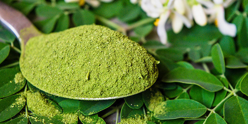 Profitez Au Maximum Du Moringa Dès Aujourd’hui