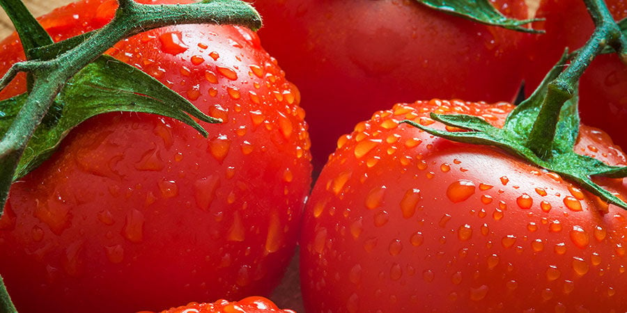 Pourquoi cultiver des tomates ?