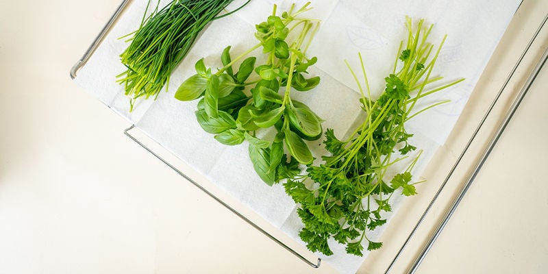 Différentes Méthodes Pour Le Séchage Des Herbes