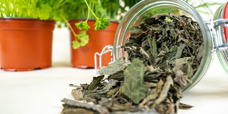 Quelle Est La Durée De Vie Des Herbes Sèches ?