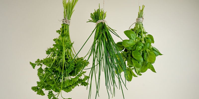 Séchage Sur Le Plant