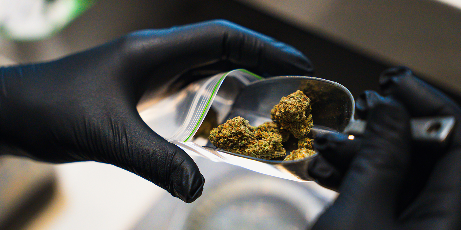 Boerejongens West Boerejongens West