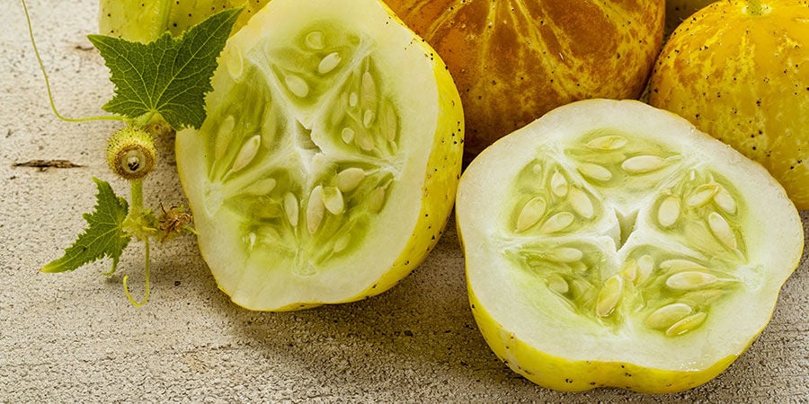 Concombre Citron