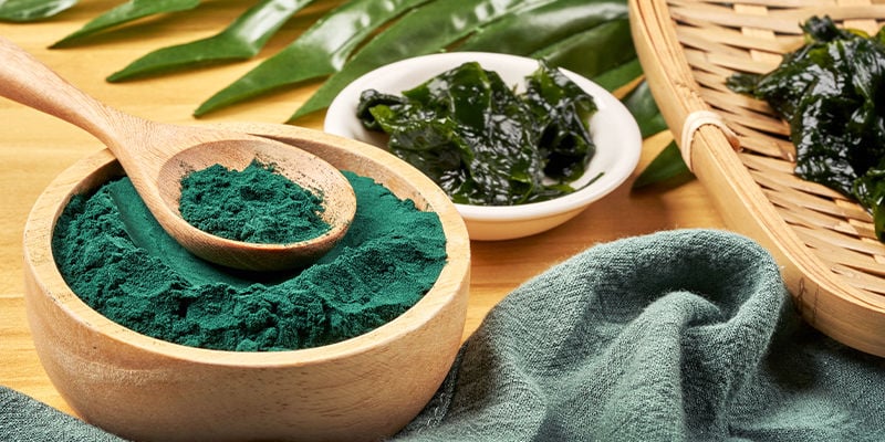 Spiruline : Un Antique Organisme