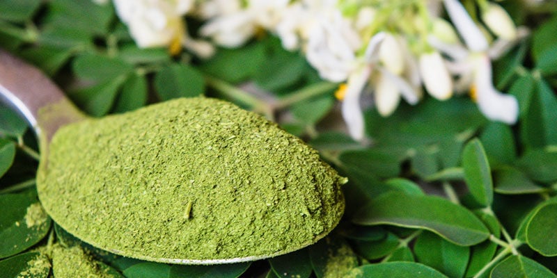 Moringa