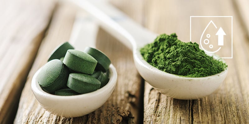 Poudre de spiruline bio - Zamnesia