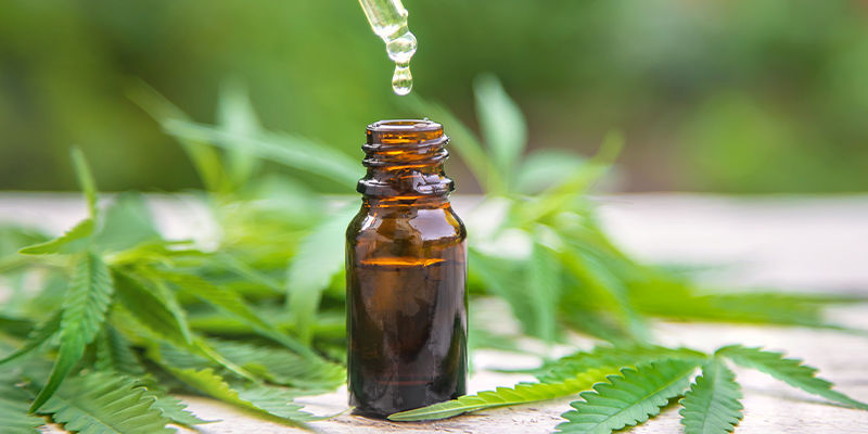 Qu’est-Ce Que Le CBD ?