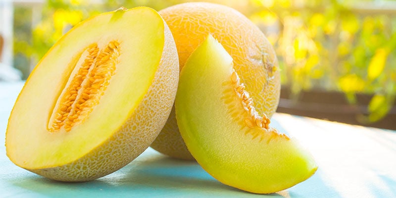 Melon Cantaloup