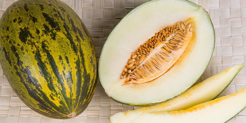 Piel Del Sapo De Melon Juteux Et Sucré Espagnol