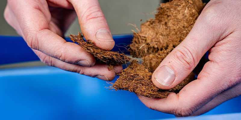 Comment préparer du substrat CVG en gros avec la méthode bucket tek