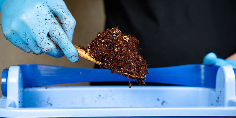 Avantages et inconvénients de la fibre de coco