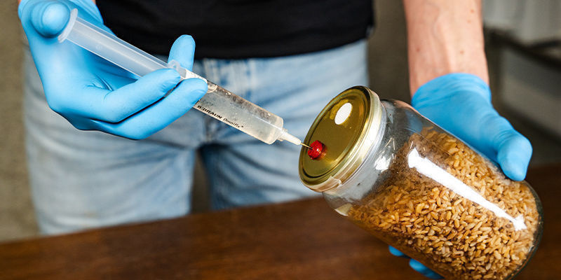 Fabriquer un substrat pour monotub