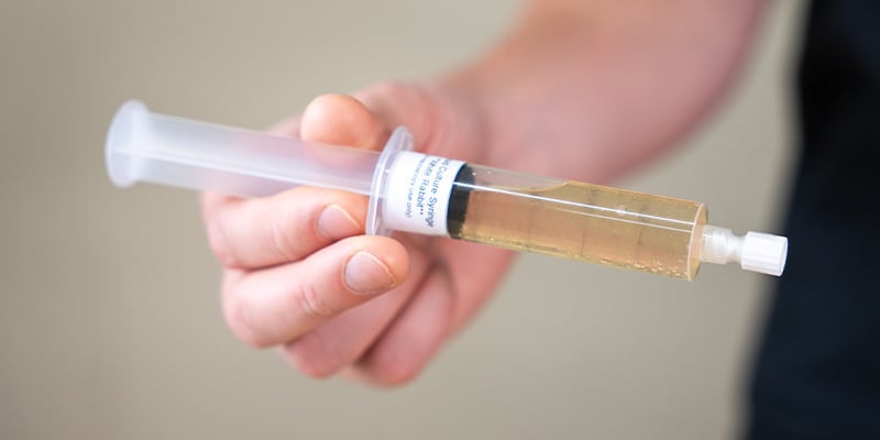 Agitez votre seringue de culture liquide pour répartir uniformément le mycélium