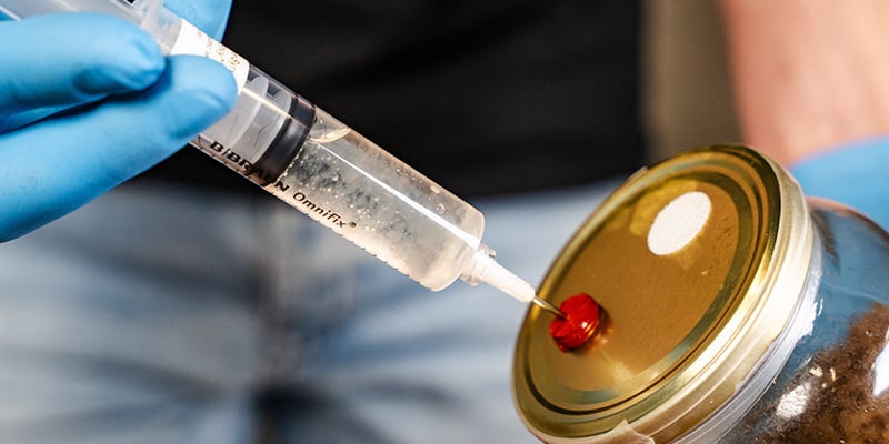 Inoculez le kit en insérant la seringue dans le substrat par l’orifice d’injection