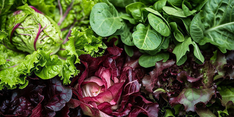 Mélange de salade française