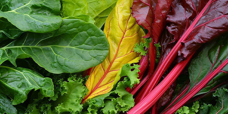 Top 5 des légumes-feuilles à cultiver chez soi