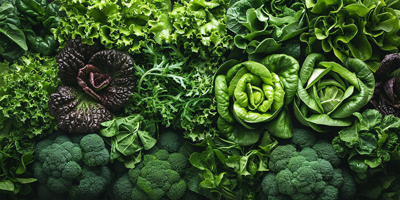 Qu’entend-on par « légumes-feuilles » ?