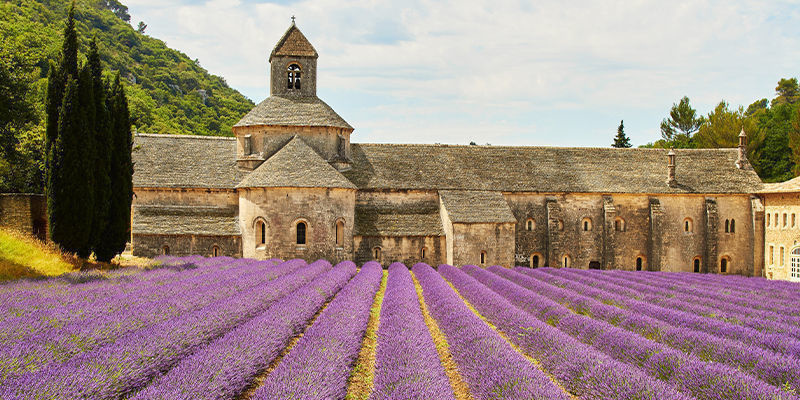 Origines de l’aromathérapie