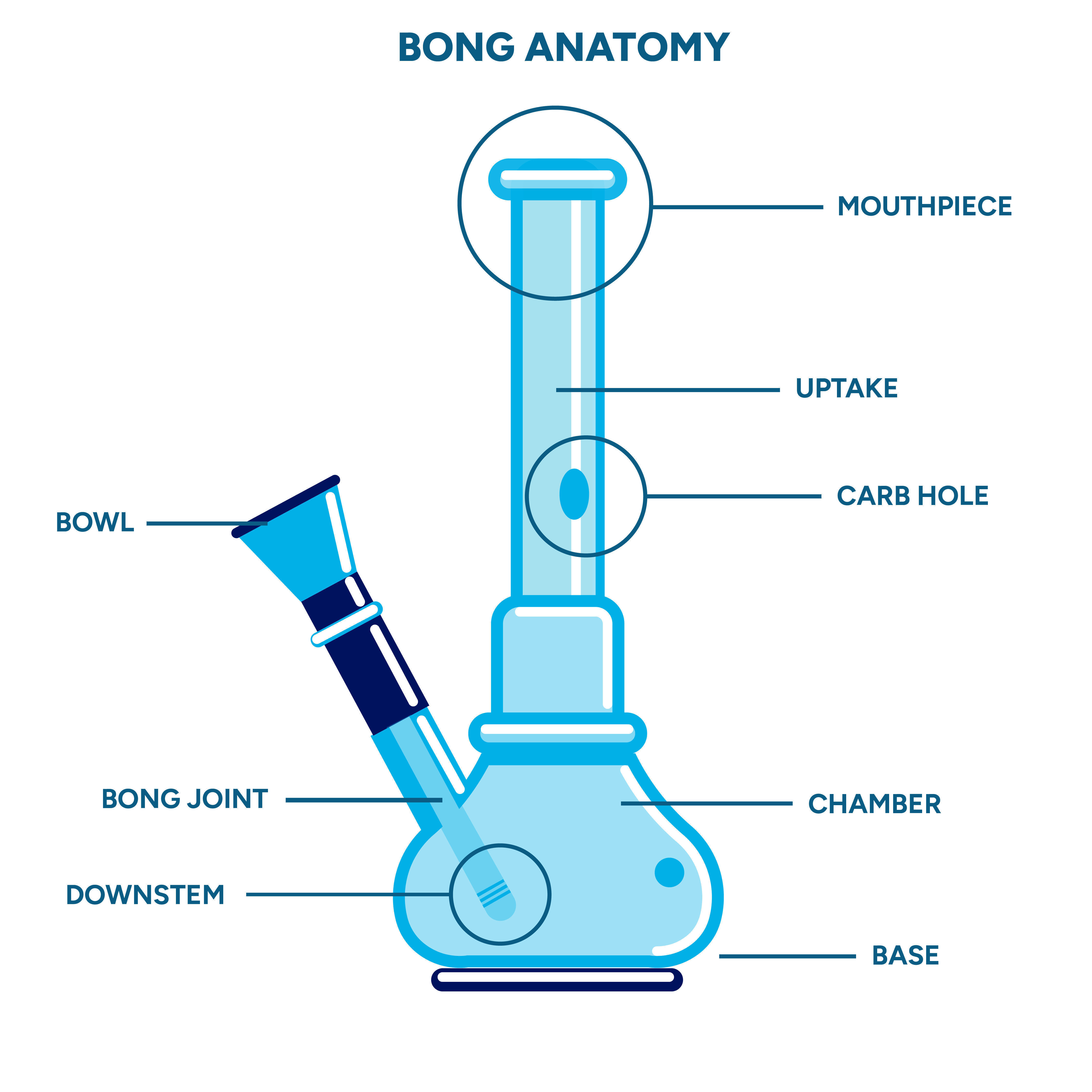 Anatomie D’un Bang