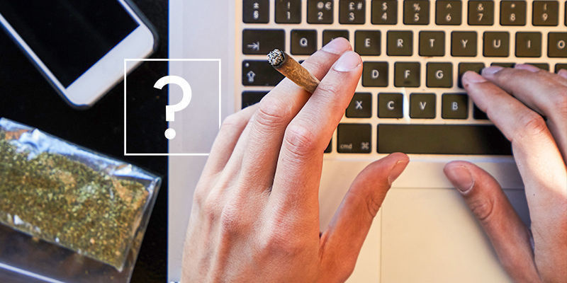 Les Réponses Aux Questions Les Plus Recherchées Sur Le Cannabis