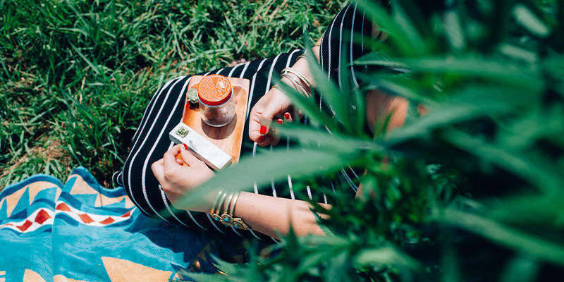 À Quoi Sert Le Cannabis ?